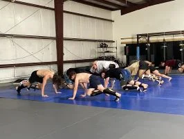 Moreno BJJ academy photo