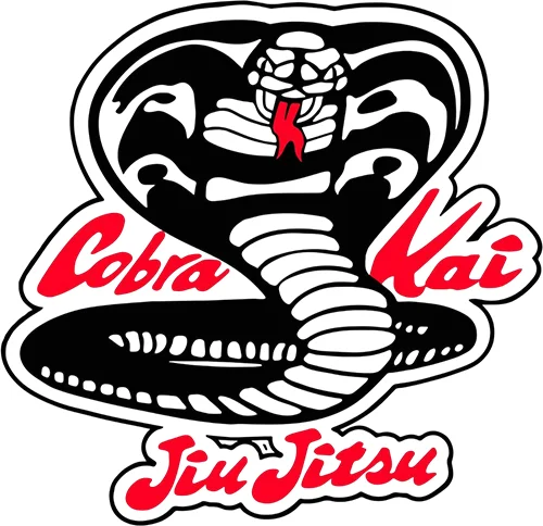 Mountain Division American Jiu-Jitsu academy photo