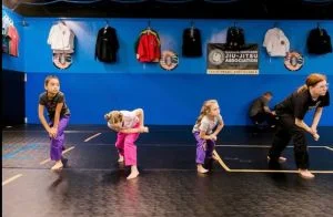 North Carolina Martial Arts academy photo