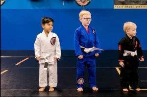 North Carolina Martial Arts academy photo