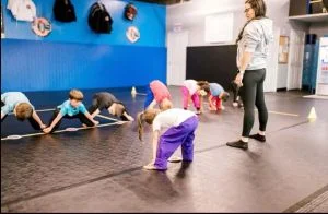 North Carolina Martial Arts academy photo