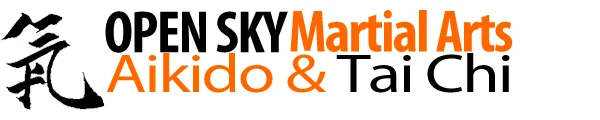Open Sky Martial Arts visual