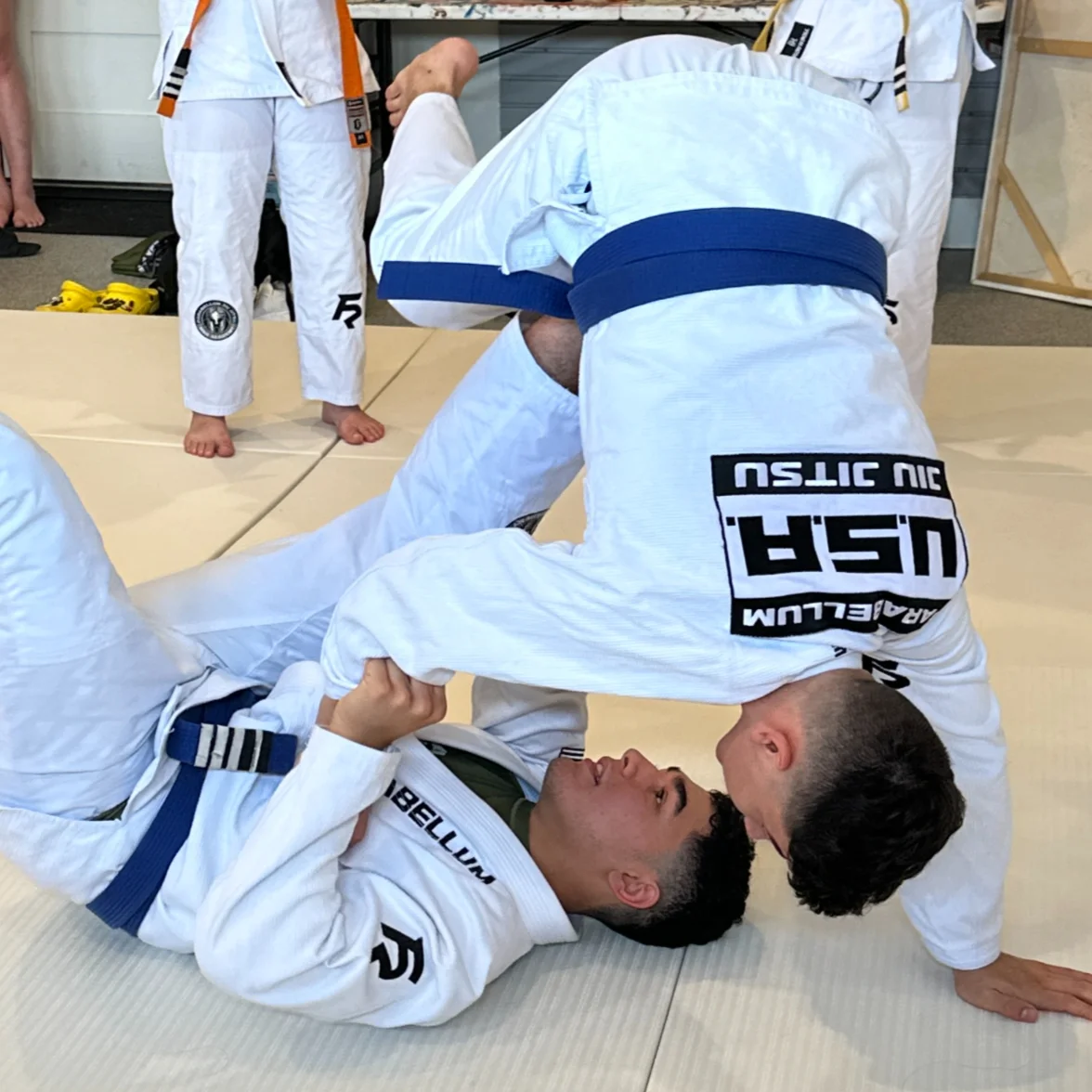 Parabellum Jiu Jitsu MMA Academy facility image