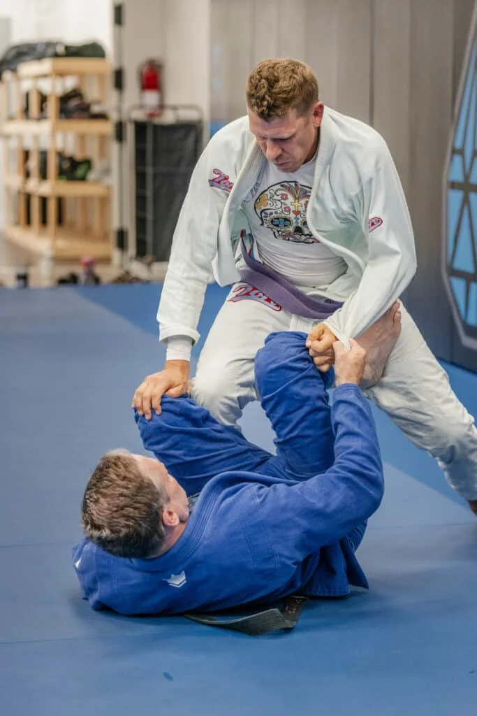 Paragon of Jiu Jitsu visual