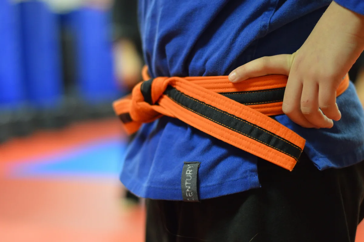 School Of Fighting Arts academy photo