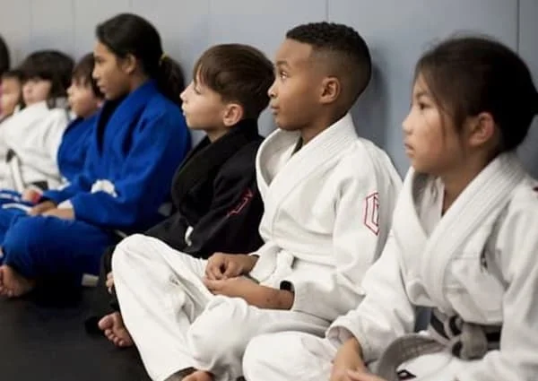 Section 8 MMA / Davidson County BJJ & MMA academy photo