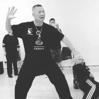 Seven Star Kung Fu Academy visual