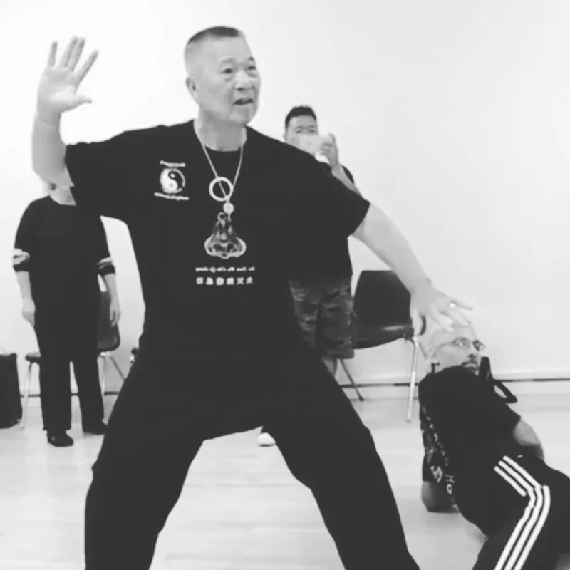 Seven Star Kung Fu Academy academy photo
