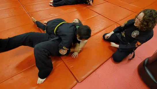 Southern School of Martial Arts and Rivers Edge Bujinkan Dojo facility image
