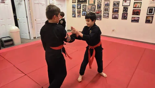 Southern School of Martial Arts and Rivers Edge Bujinkan Dojo facility image