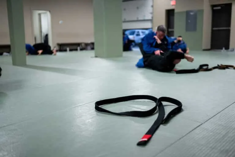 The Jiu-Jitsu Institute academy photo