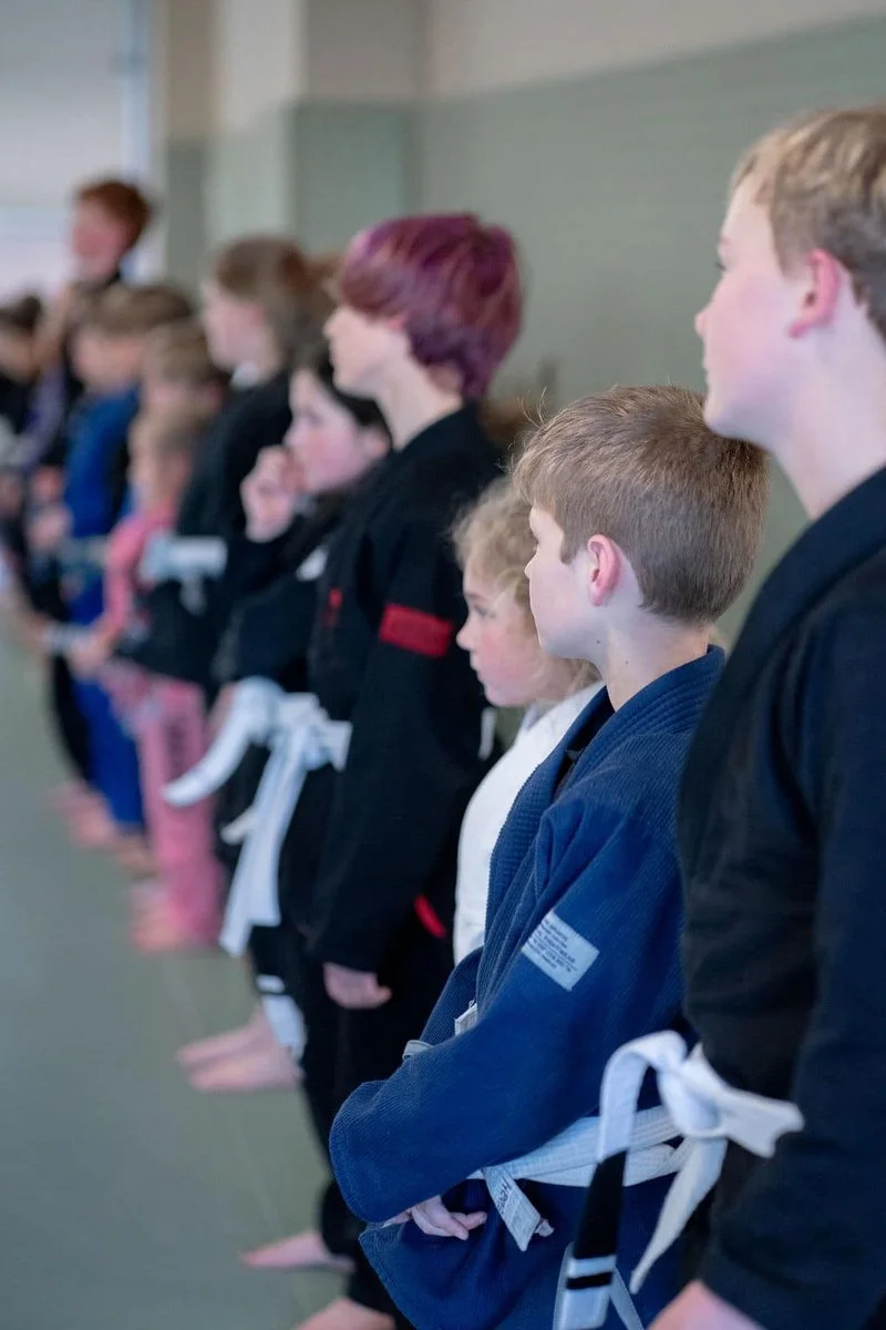 The Jiu-Jitsu Institute academy photo