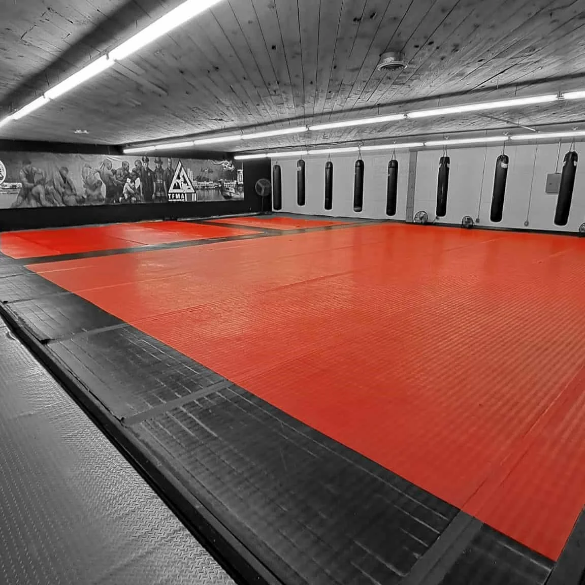 Tinsley Family Martial Arts academy photo