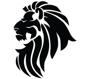 Triad Brazilian Jiu-Jitsu academy logo