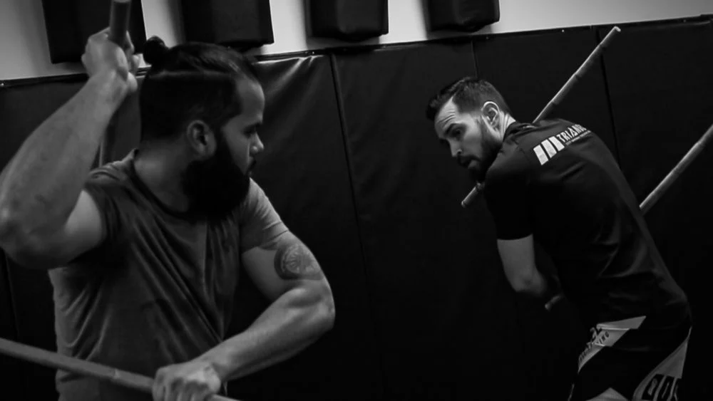 Triangle Self-Defense & Tactical Training visual