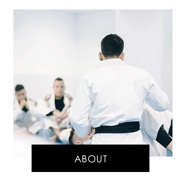 Unspecified Academy (BJJ Gym context) academy photo