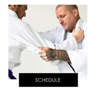 Unspecified Academy (BJJ Gym context) academy photo