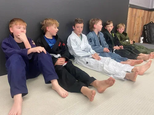 Victory Martial Arts (BJJ) academy photo