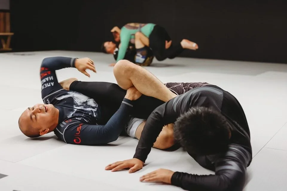 Victory Martial Arts (BJJ) academy photo