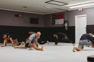 Victory Martial Arts (BJJ) academy photo