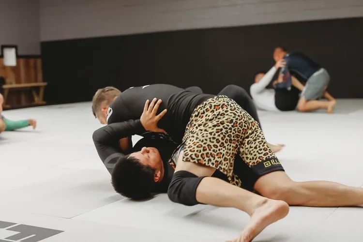 Victory Martial Arts (BJJ) academy photo