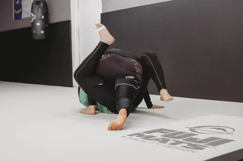 Victory Martial Arts (BJJ) academy photo