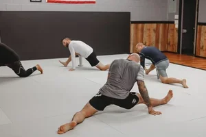 Victory Martial Arts (BJJ) academy photo