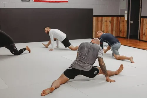 Victory Martial Arts (BJJ) academy photo