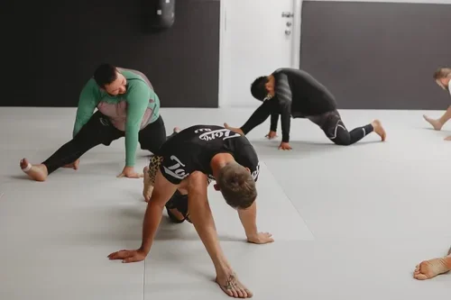 Victory Martial Arts (BJJ) academy photo