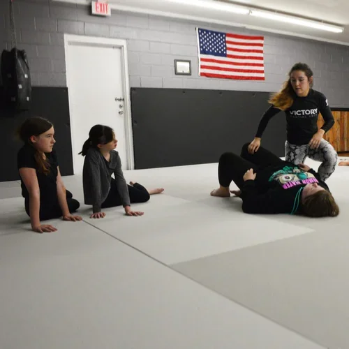 Victory Martial Arts (BJJ) academy photo