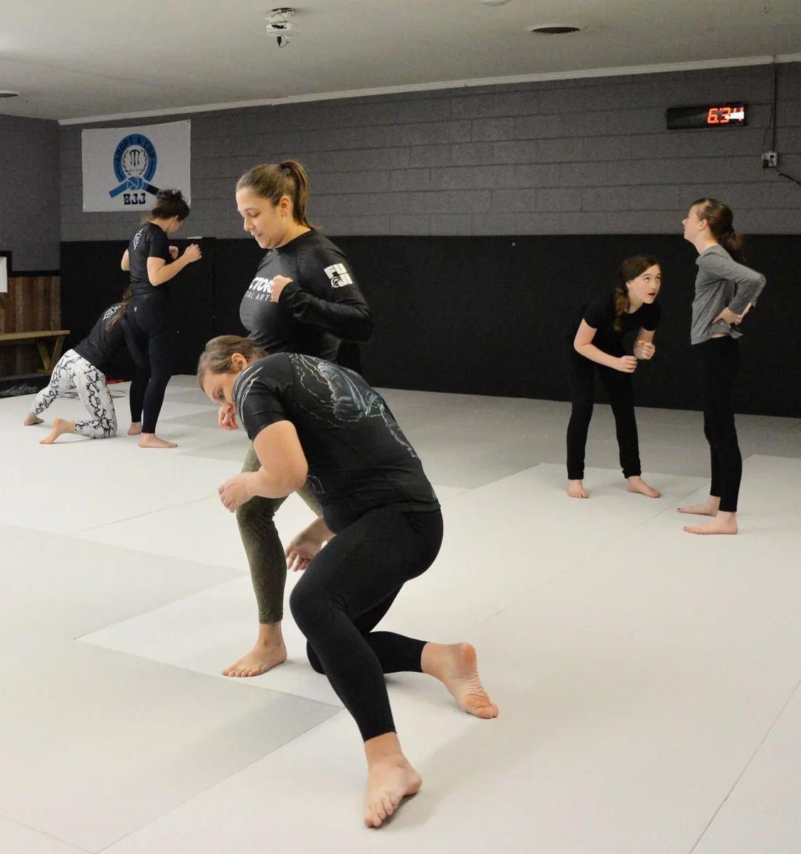 Victory Martial Arts (BJJ) academy photo