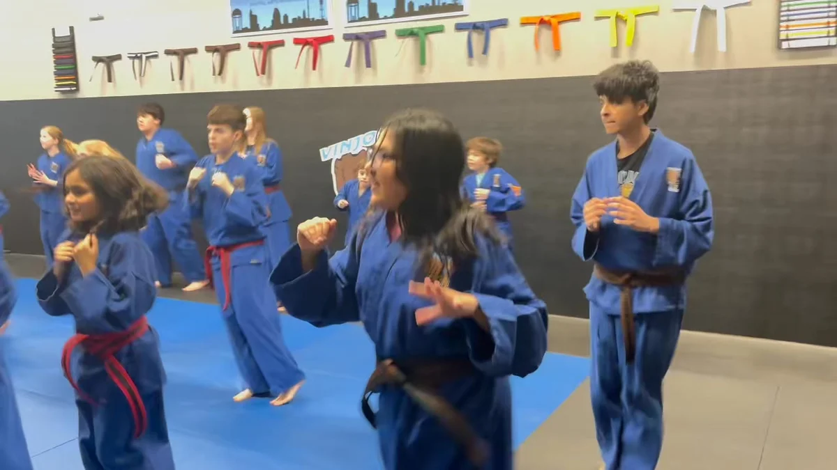 Vinjo’s Martial Arts academy photo