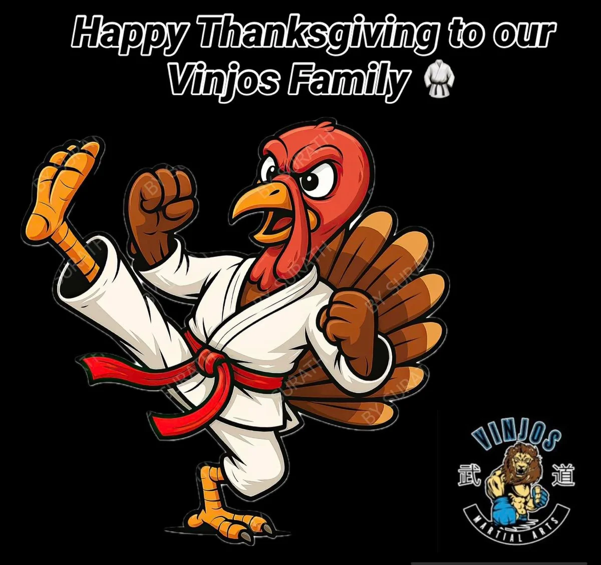 Vinjo’s Martial Arts academy photo