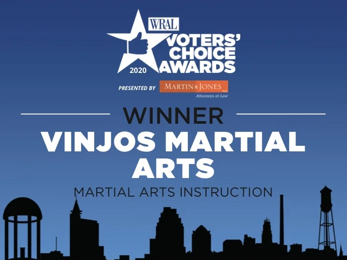 Vinjo’s Martial Arts academy logo
