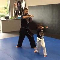 Vinjo’s Martial Arts academy photo