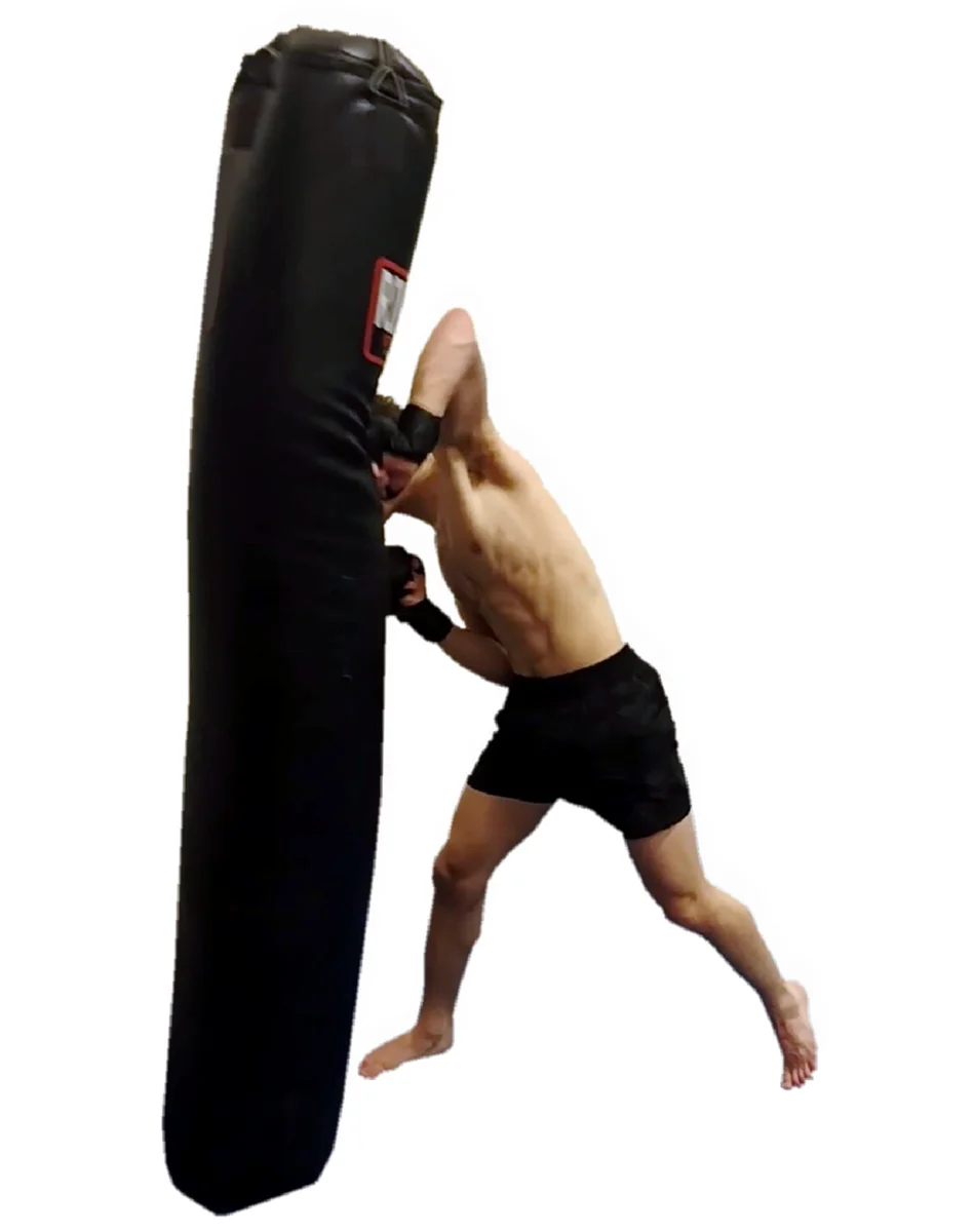 Zen Jiu-Jitsu & Fitness Academy academy photo