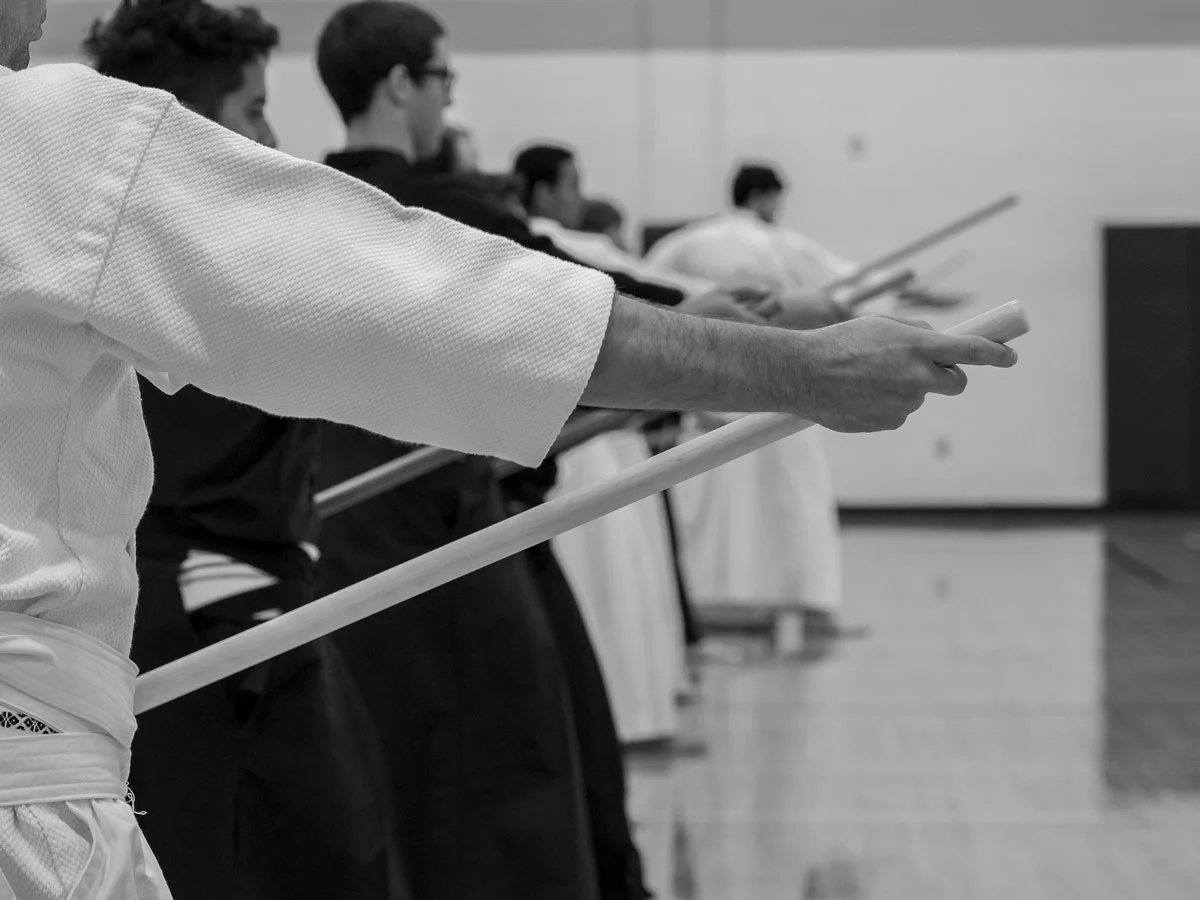 Agassiz Dojo academy photo