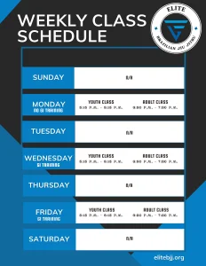 Elite BJJ academy photo