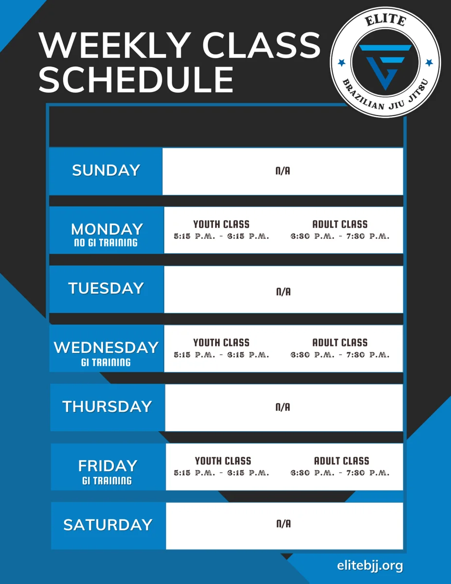 Elite BJJ academy photo