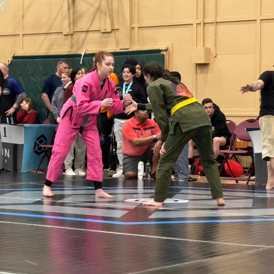 Elite BJJ academy photo
