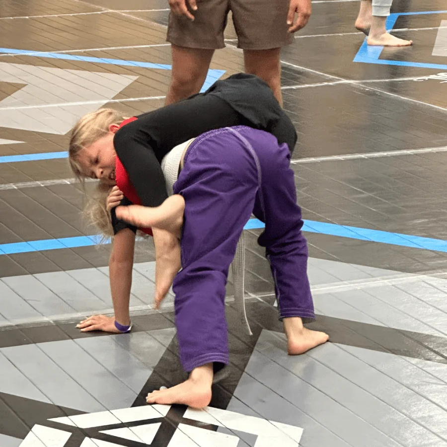 Elite BJJ academy photo