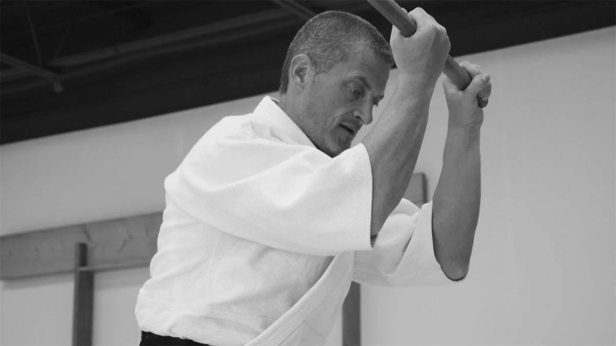 Aikido of Nebraska academy logo