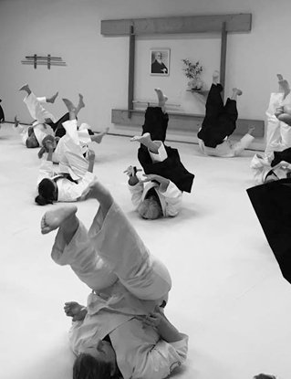 Aikido of Nebraska visual