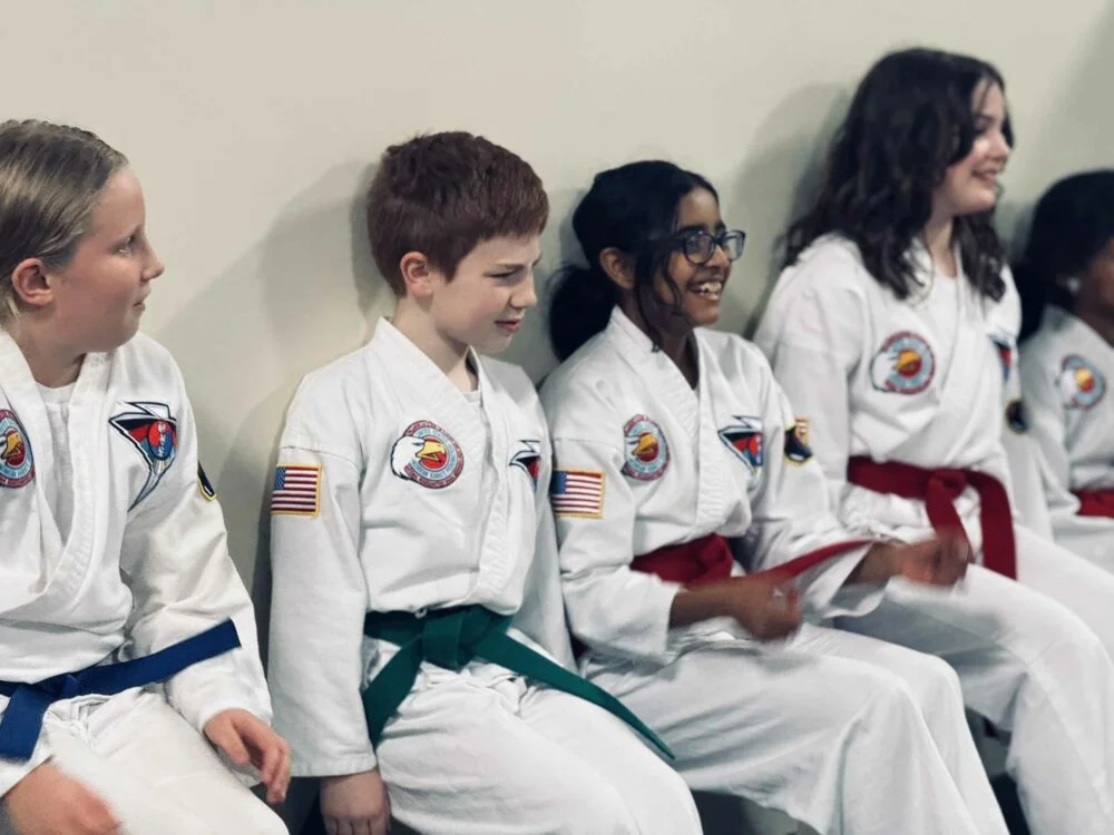 American School of Karate & Judo on Industrial academy photo