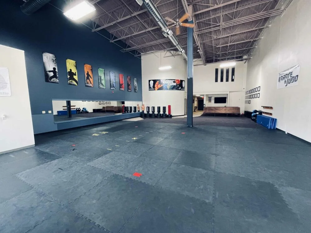 American School of Karate & Judo on Industrial academy photo