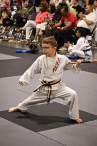 Apex Martial Arts academy photo