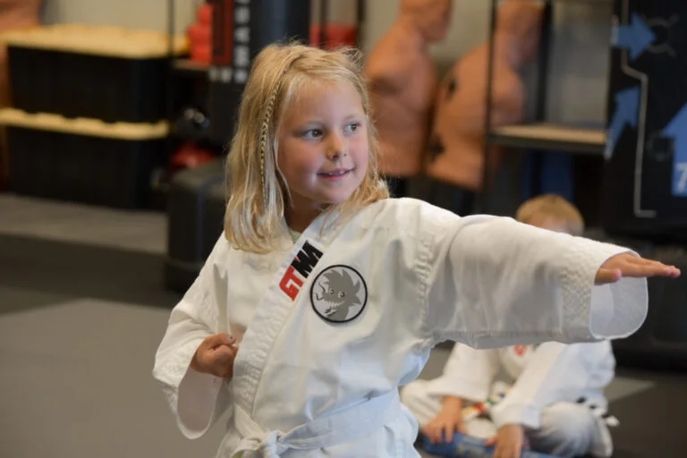 Apex Martial Arts academy photo