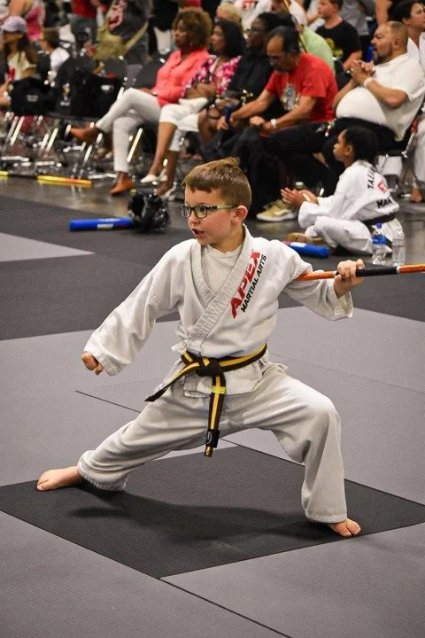 Apex Martial Arts academy photo