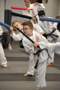 Apex Martial Arts academy photo