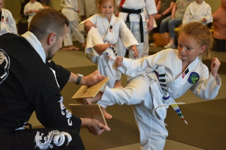 Apex Martial Arts academy photo
